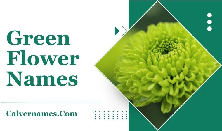Green Flower Names