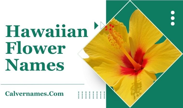 Hawaiian Flower Names