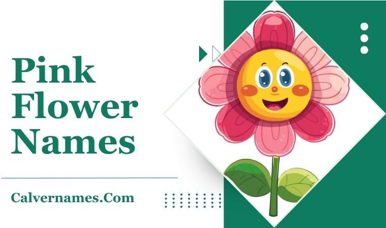 Pink Flower Names
