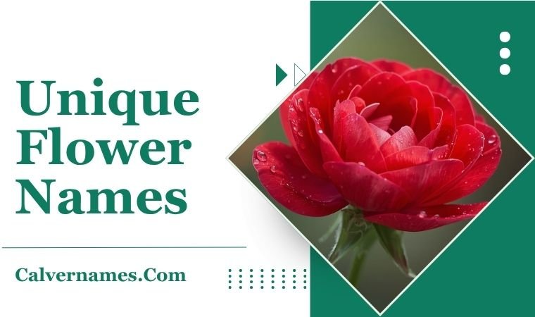 Unique Flower Names