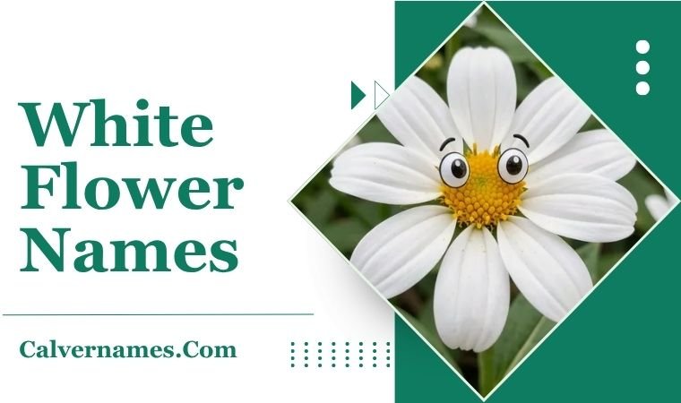 White Flower Names