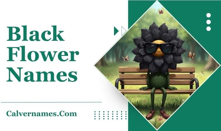 Black Flower Names