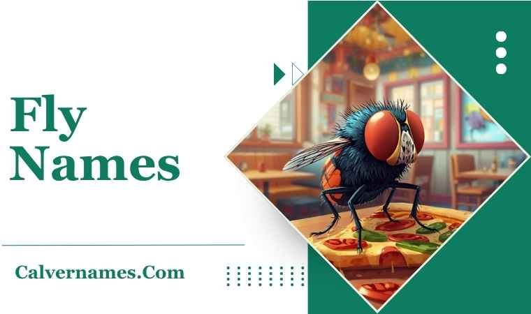 Fly Names