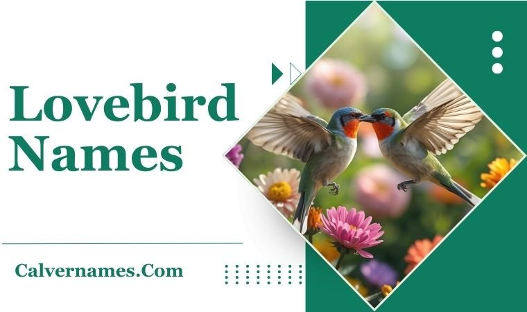 Lovebird names