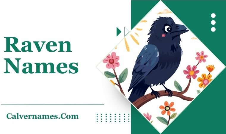 Raven Names