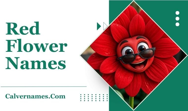 Red Flower Names