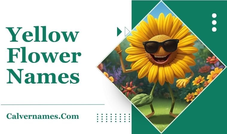Yellow Flower Names