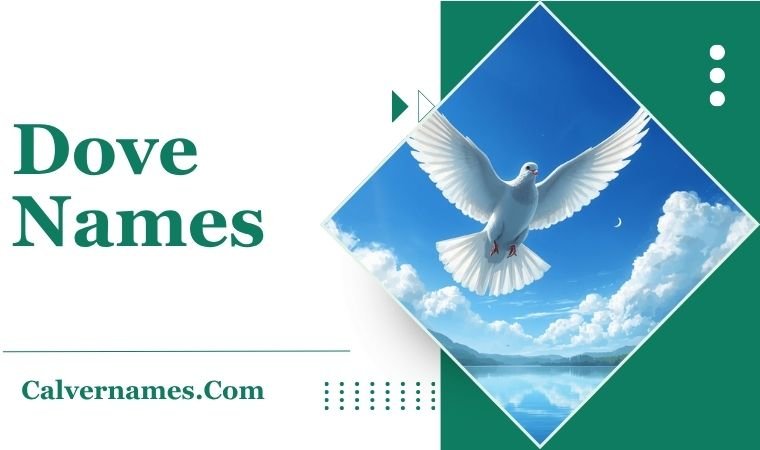 Dove Names